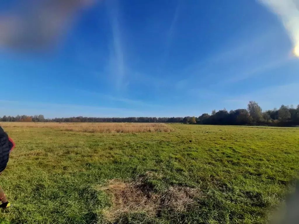 Участок в Костромская область, Красносельский район, Шолоховское ... - Фото 2