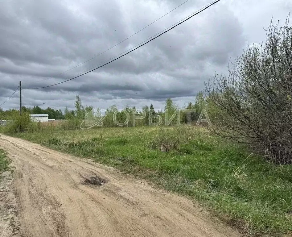 Участок в Тюменская область, Нижнетавдинский муниципальный округ, ... - Фото 2