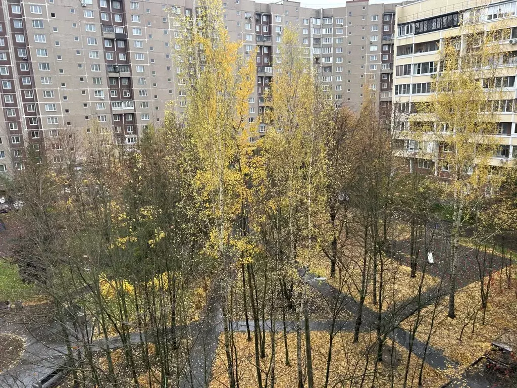 1-к кв. Москва, Москва, Зеленоград к1619 (39.0 м) - Фото 1