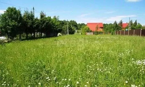 Участок в Свердловская область, Слободо-Туринский район, ... - Фото 1