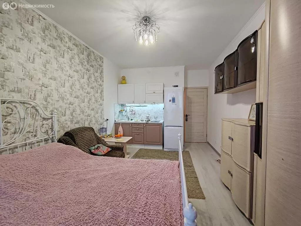 Квартира-студия: Санкт-Петербург, Арцеуловская аллея, 21 (24.2 м) - Фото 1