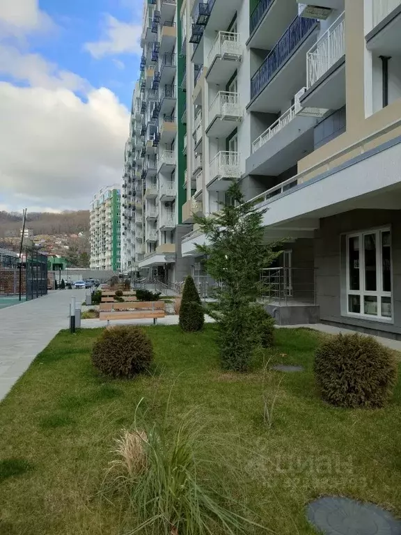 Студия Краснодарский край, Сочи ул. Искры, 66/9 (22.8 м) - Фото 2