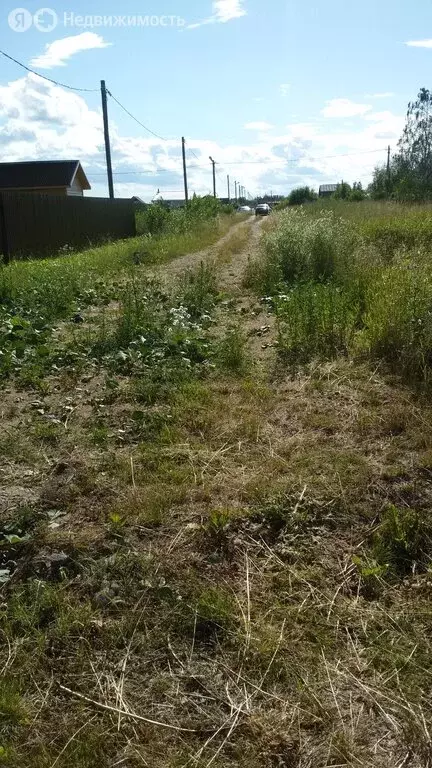 Участок в Новгородская область, Шимское городское поселение, деревня ... - Фото 0