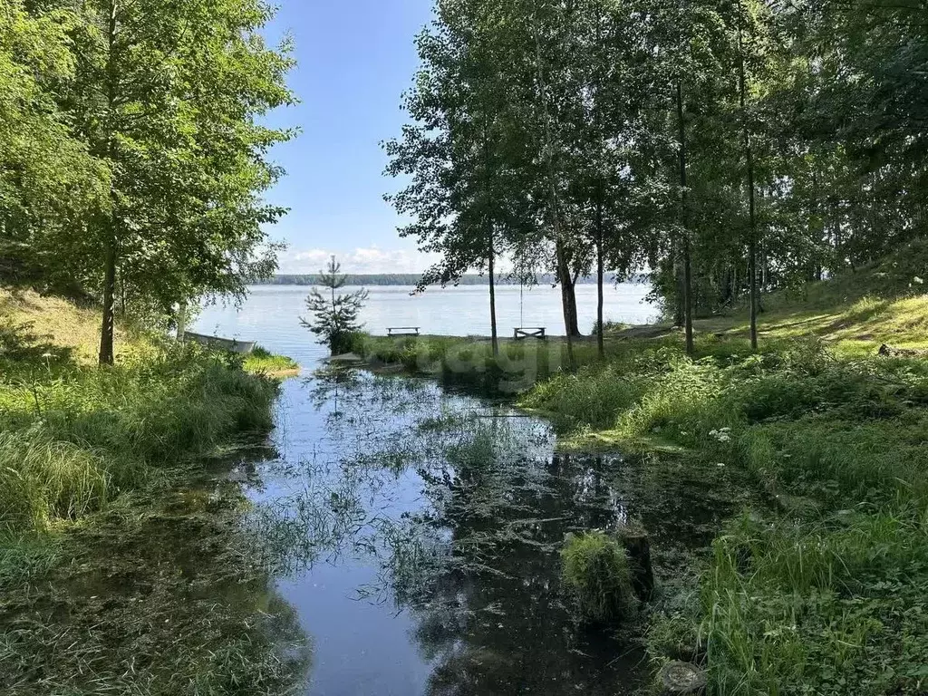 Участок в Костромская область, Кадыйский муниципальный округ, д. ... - Фото 1