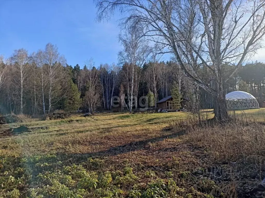 Участок в Алтайский край, Первомайский район, Звездный-2 СНТ  (20.0 ... - Фото 1