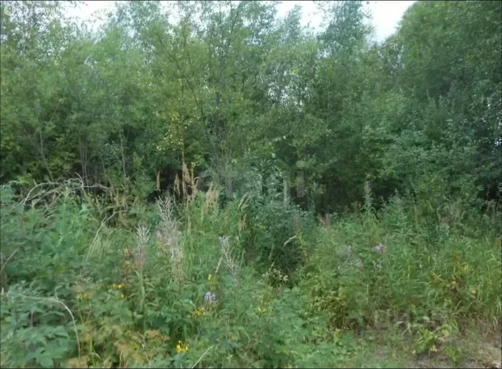 Участок в деревня Лихун, 1-я Подмосковная улица (5 м) - Фото 2