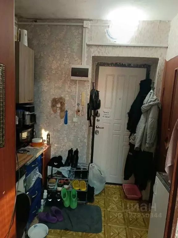 Студия Пермский край, Пермь Торговая ул., 8 (18.5 м) - Фото 2