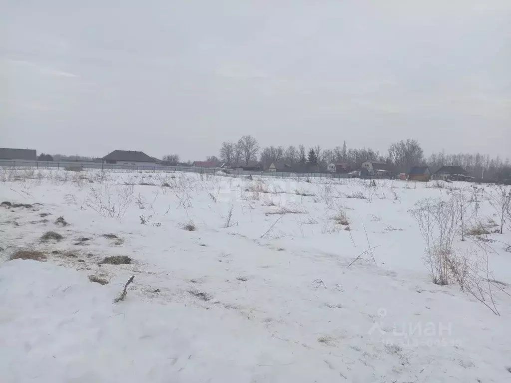 Участок в Башкортостан, Чишминский район, Сафаровский сельсовет, д. ... - Фото 2