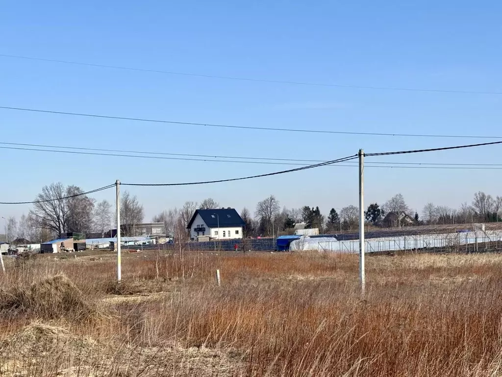 Участок в Калининградская область, Гурьевский муниципальный округ, ... - Фото 2