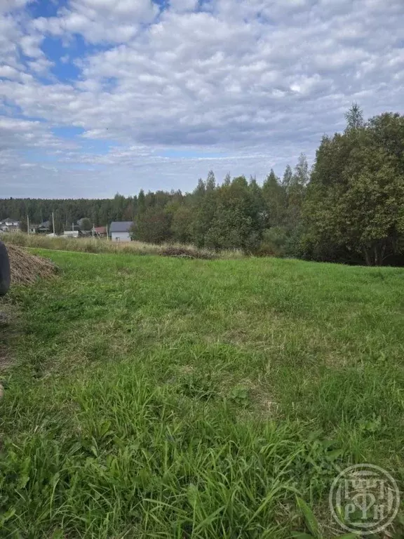 Участок в Ленинградская область, Всеволожский район, Рахьинское ... - Фото 2
