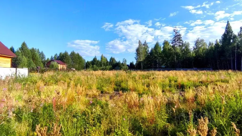 Участок в Иркутская область, Иркутский муниципальный округ, Солнышко ... - Фото 1