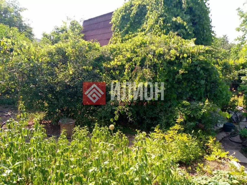 Участок в Севастополь, СНТ Сапун-гора (10.6 м) - Фото 0