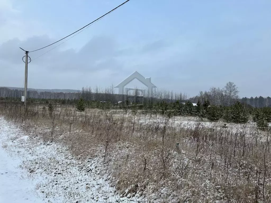 Участок в Красноярский край, Емельяновский муниципальный округ, ... - Фото 2