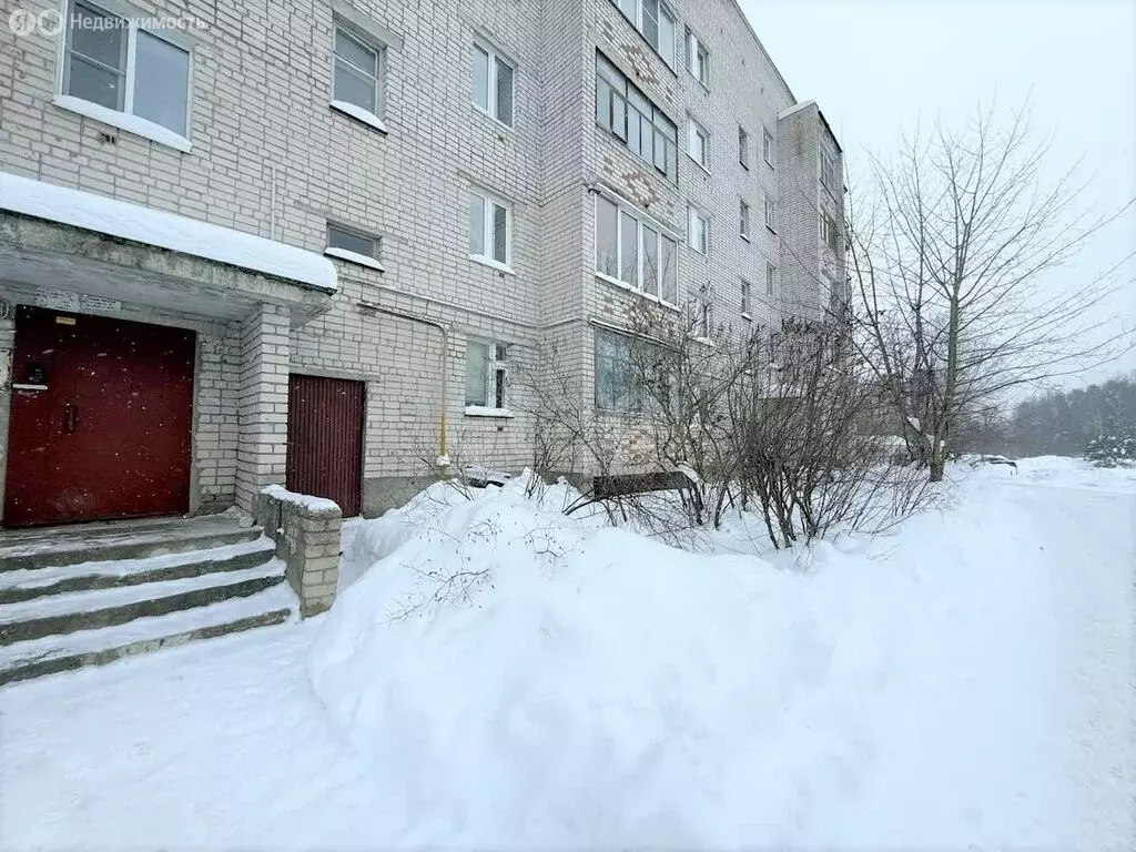 3-комнатная квартира: посёлок Вольгинский, Новосемёнковская улица, 22 ... - Фото 1