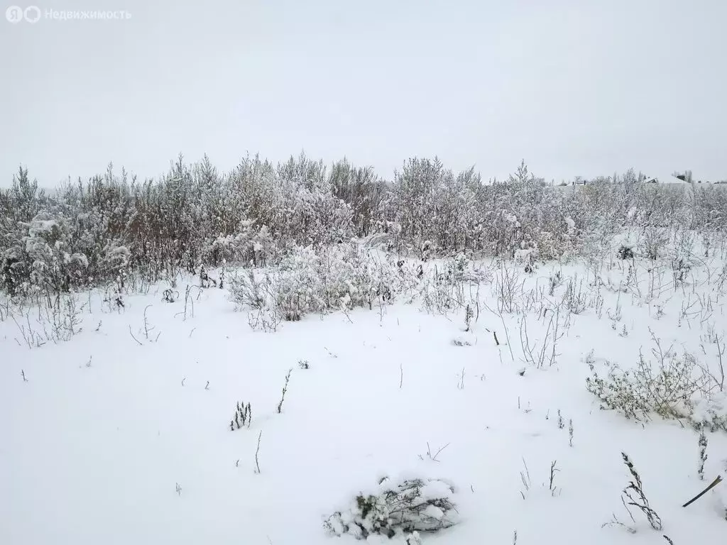 Участок в село Нелжа, улица Свободы (8.7 м) - Фото 2