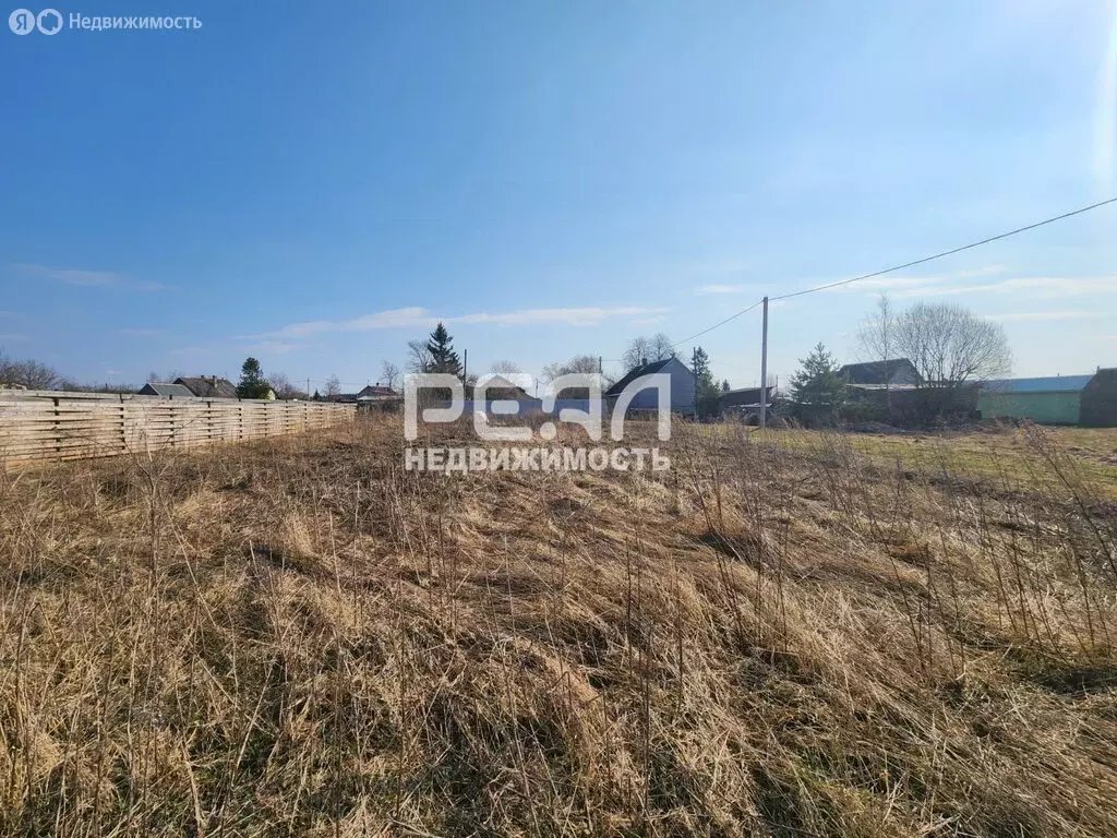 Участок в Ленинградская область, Волосовское городское поселение, ... - Фото 1
