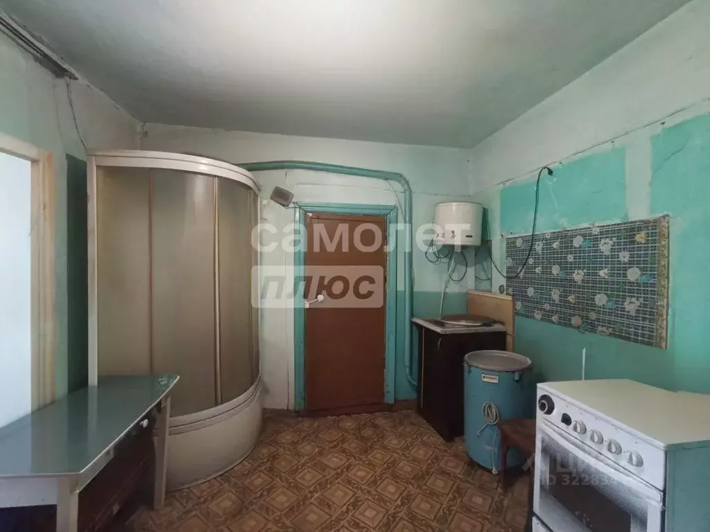 Дом в Алтайский край, Смоленский район, пос. Линевский ул. Ленина (30 ... - Фото 2