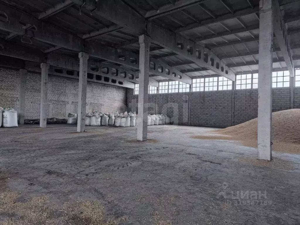 Склад в Воронежская область, Грибановский пгт ул. Мебельная, 1 (300 м) - Фото 1