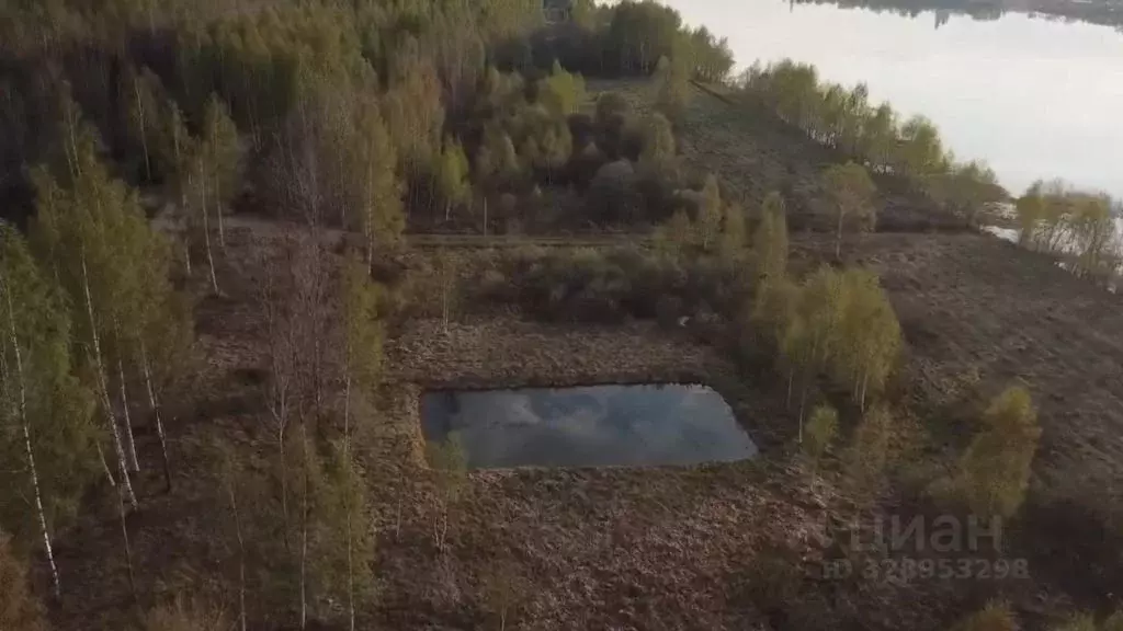 Участок в Ярославская область, Некрасовский муниципальный округ, д. ... - Фото 2