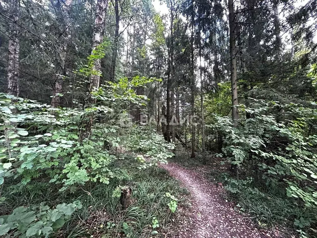Участок в Калужская область, Малоярославецкий район, Коллонтай с/пос, ... - Фото 2