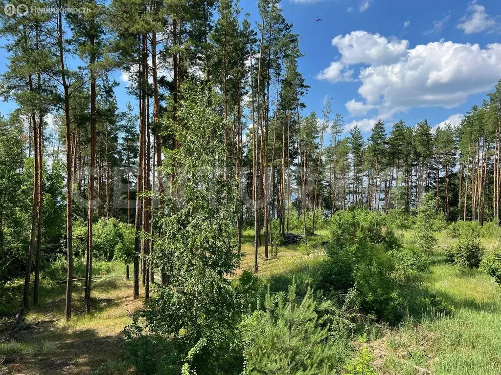 Участок в Липецкая область, Грязинский муниципальный округ, территория ... - Фото 1