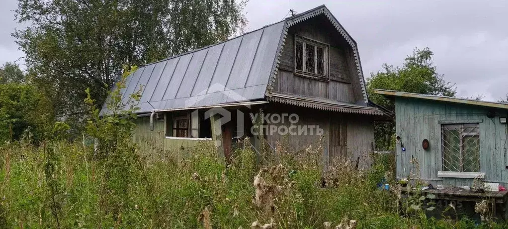 Участок в Ленинградская область, Тосненский район, Красноборское ... - Фото 1