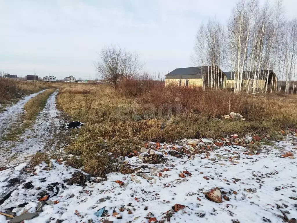 Участок в Тюменская область, Тюмень Зеленый Бор ДНТСН, ул. Европейская ... - Фото 2