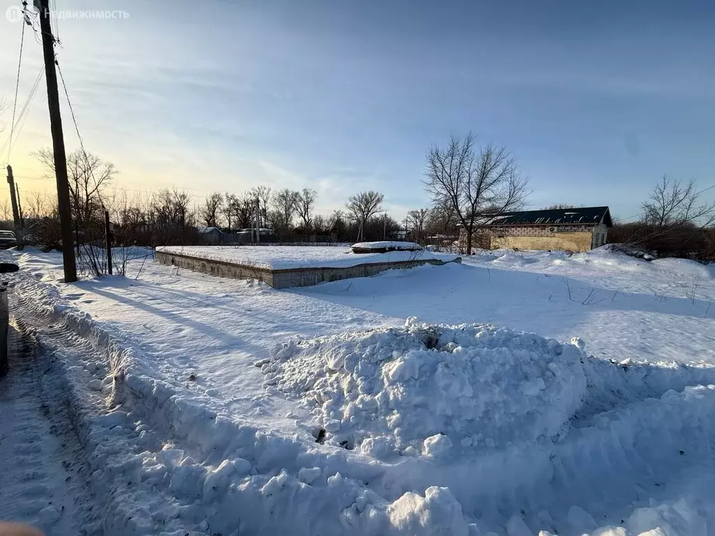 Участок в Оренбург, СНТ Берёзка, Садовая улица, 56 (5.5 м) - Фото 1