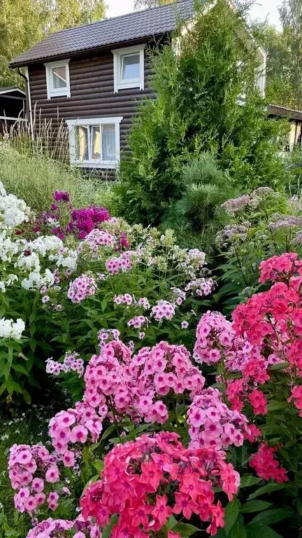 Дом в Карелия, Питкярантский муниципальный округ, д. Ууксу ул. ... - Фото 1