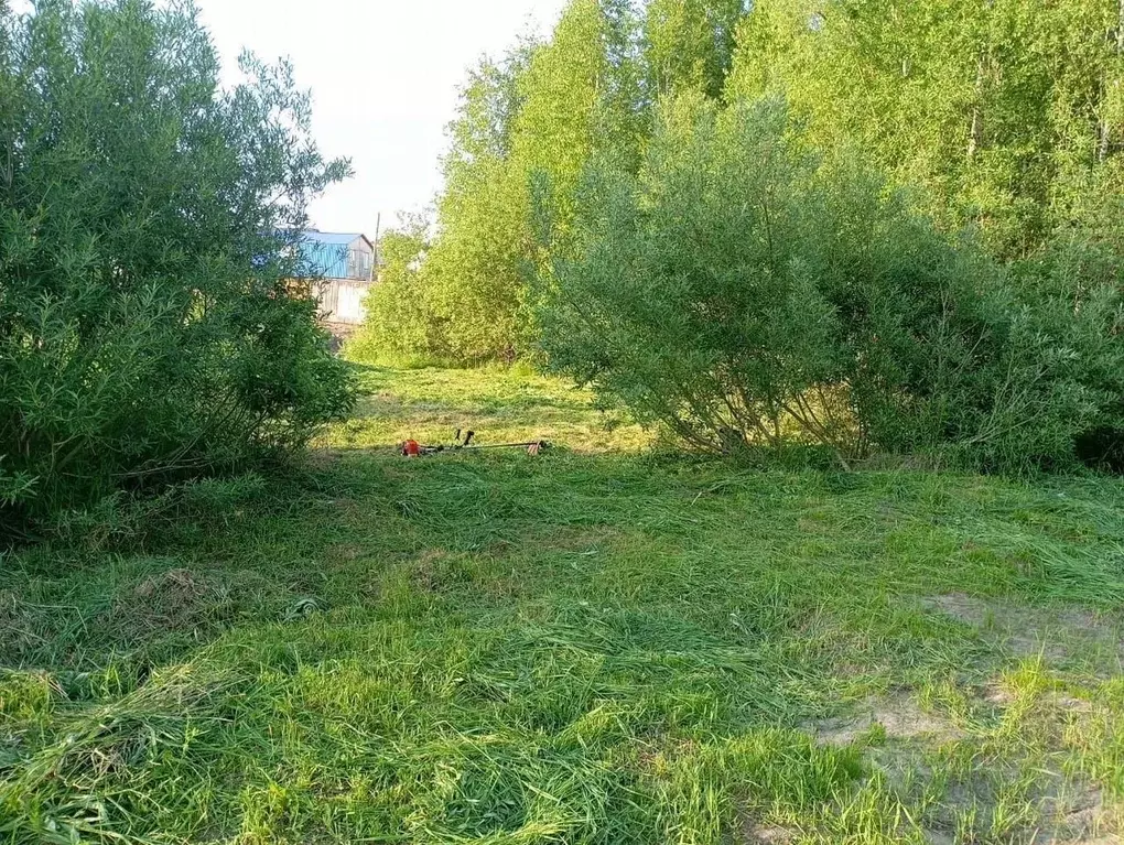 Участок в Томская область, Томский район, д. Новомихайловка ... - Фото 1