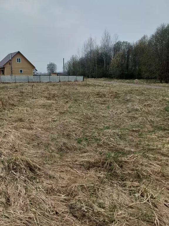 Участок в Ленинградская область, Ломоносовский район, Лопухинское ... - Фото 0