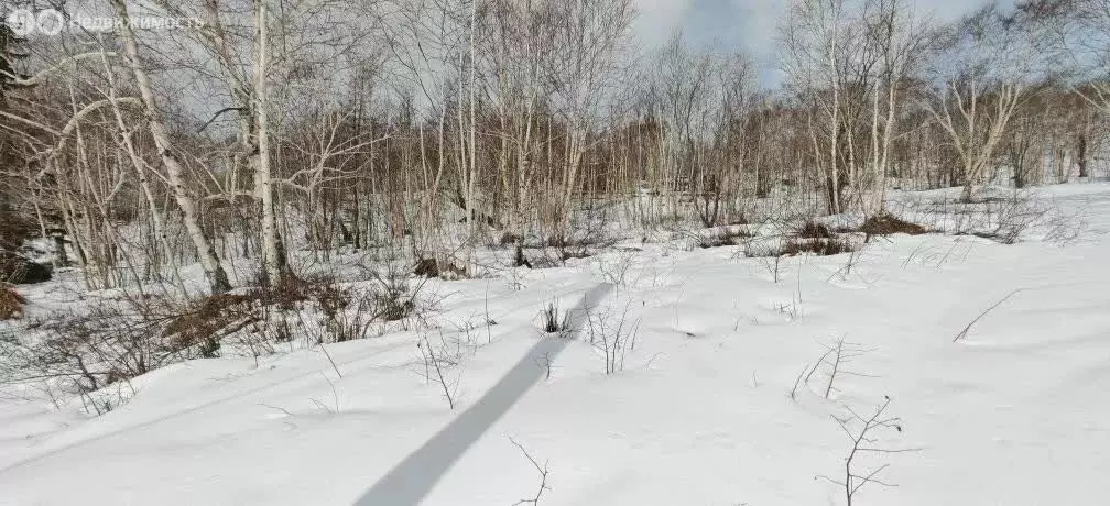 Участок в Камчатский край, Елизовский муниципальный округ, СНТ ... - Фото 1