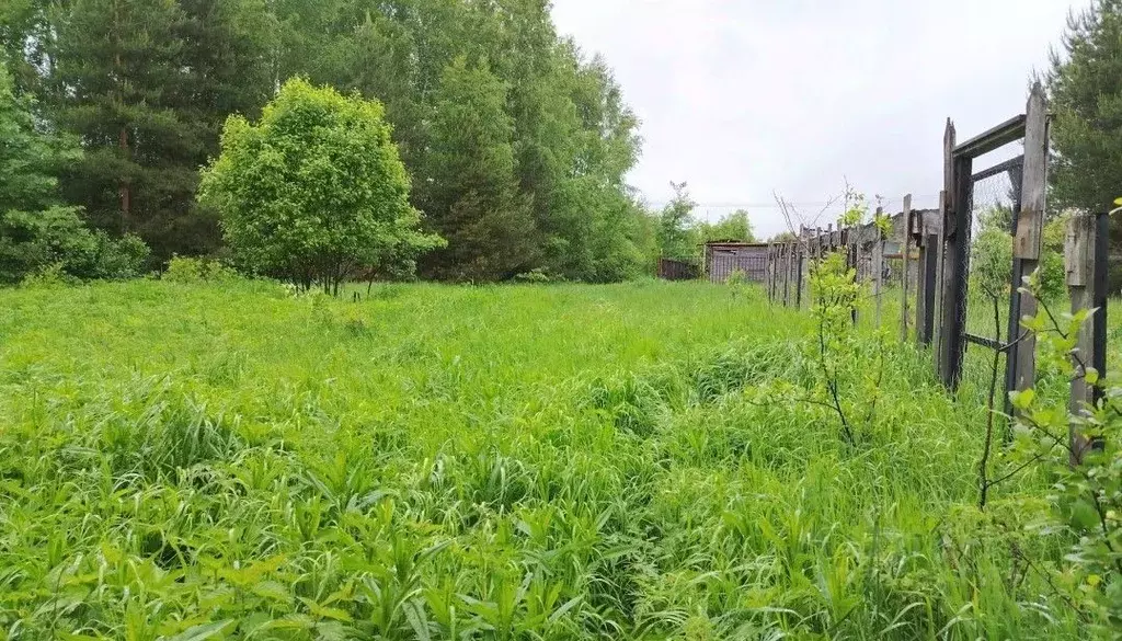 Участок в Московская область, Орехово-Зуевский городской округ, д. ... - Фото 1
