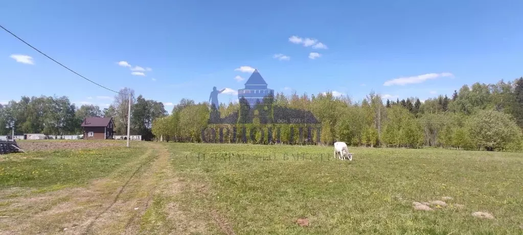 Участок в Нижегородская область, Чкаловск муниципальный округ, с. ... - Фото 1