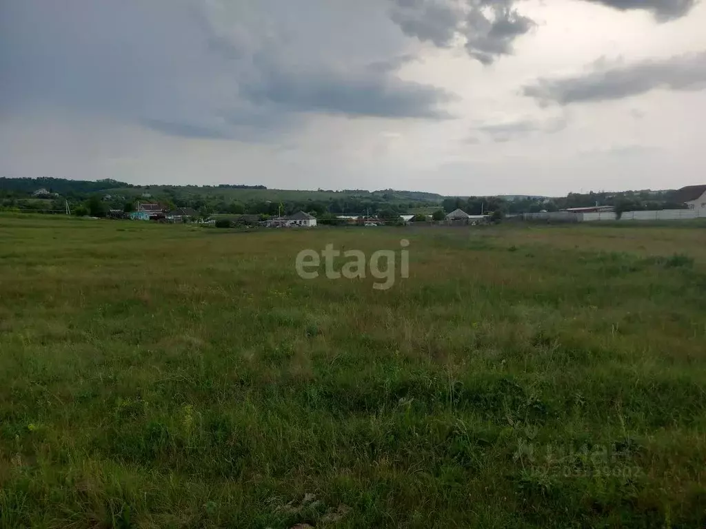 участок в белгородская область, губкинский городской округ, с. мелавое . - Фото 1