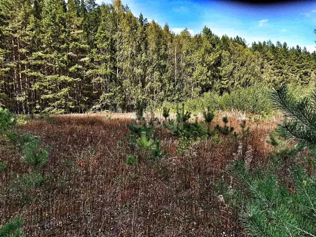 Участок в Нижегородская область, Выкса Лесная ул. (33.6 сот.) - Фото 1