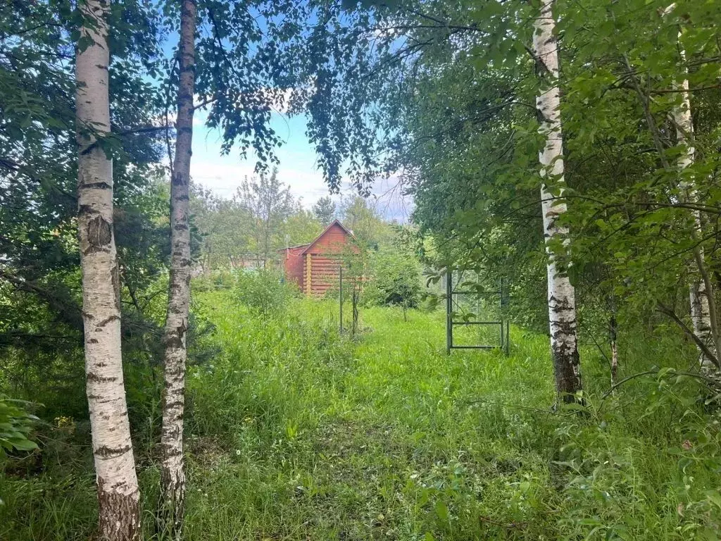 Участок в Нижегородская область, Богородский муниципальный округ, ... - Фото 1