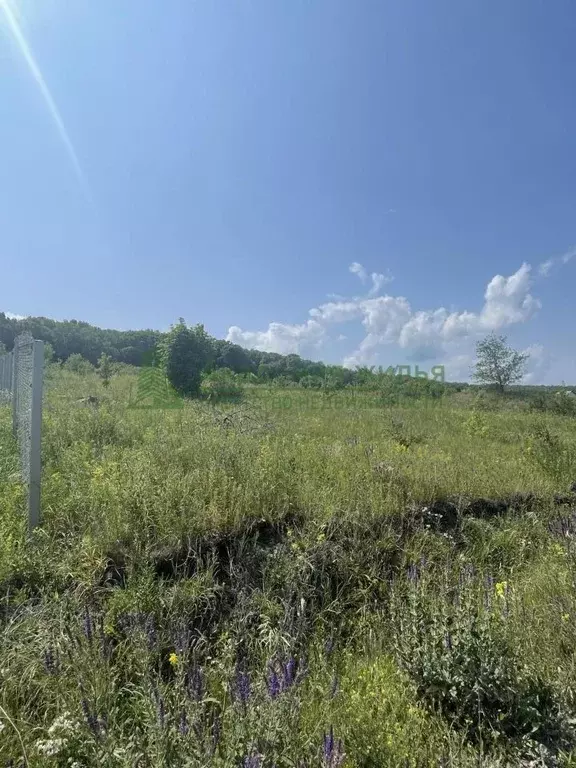 Участок в Саратовская область, Соколовый рп ул. Веселая (13.7 сот.) - Фото 2