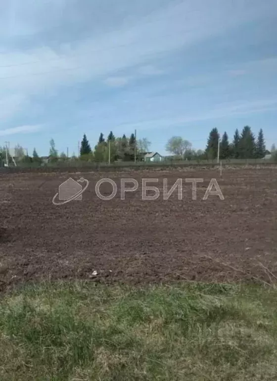 Участок в Тюменская область, Нижнетавдинский район, с. Велижаны  (12.5 ... - Фото 1