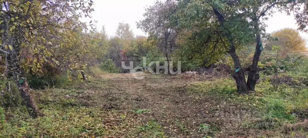 Участок в Нижегородская область, Нижний Новгород с. Кадницы,  (23.4 ... - Фото 1
