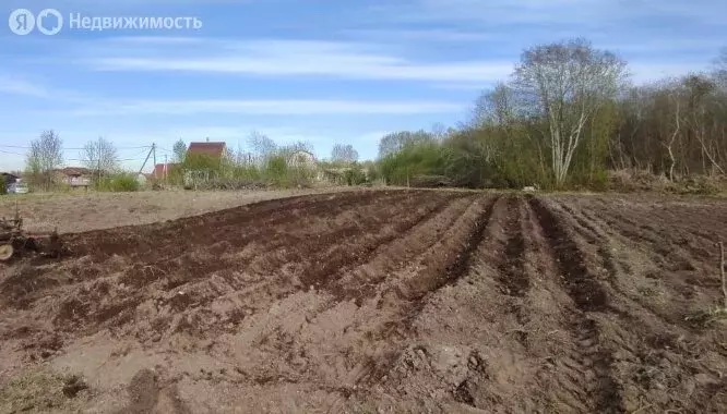 Участок в деревня Оржицы, ТСН Флора-2 (10 м) - Фото 1