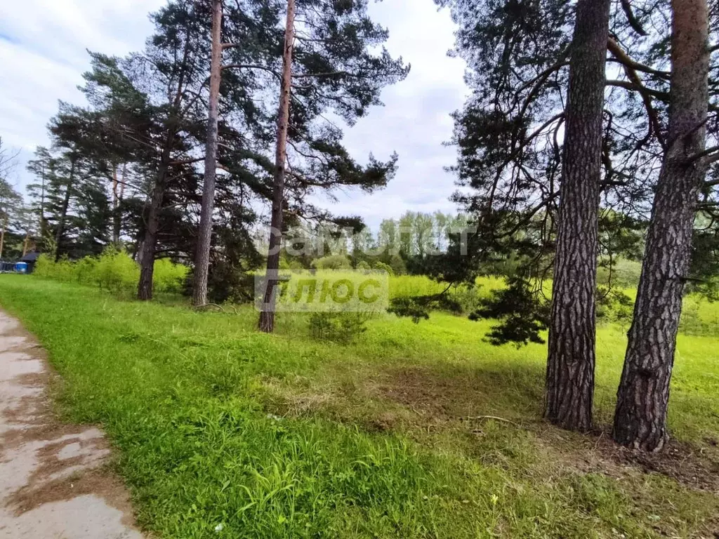 Участок в Московская область, Домодедово городской округ, д. Ивановка ... - Фото 0