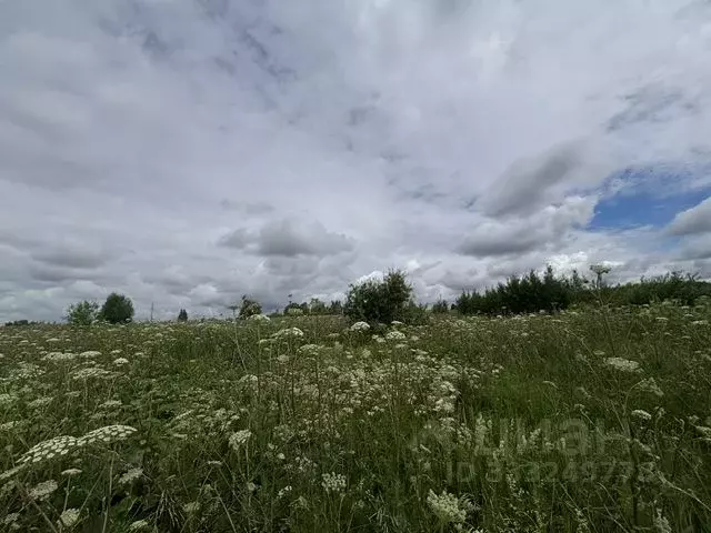 Участок в Московская область, Воскресенск городской округ, д. ... - Фото 1