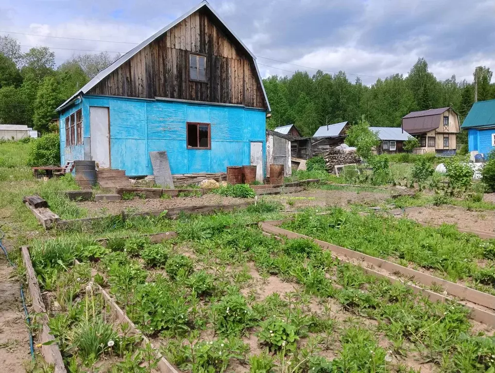 Купить Сад В Березниках Недорого