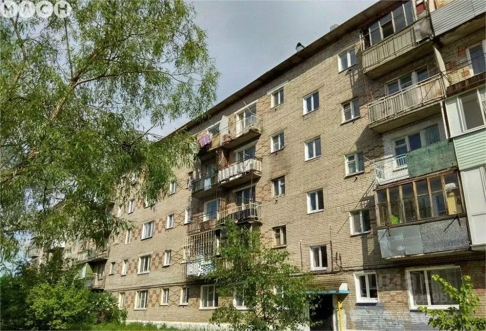 2-к кв. Омская область, Омск ул. Василия Маргелова, 181 (40.0 м) - Фото 1
