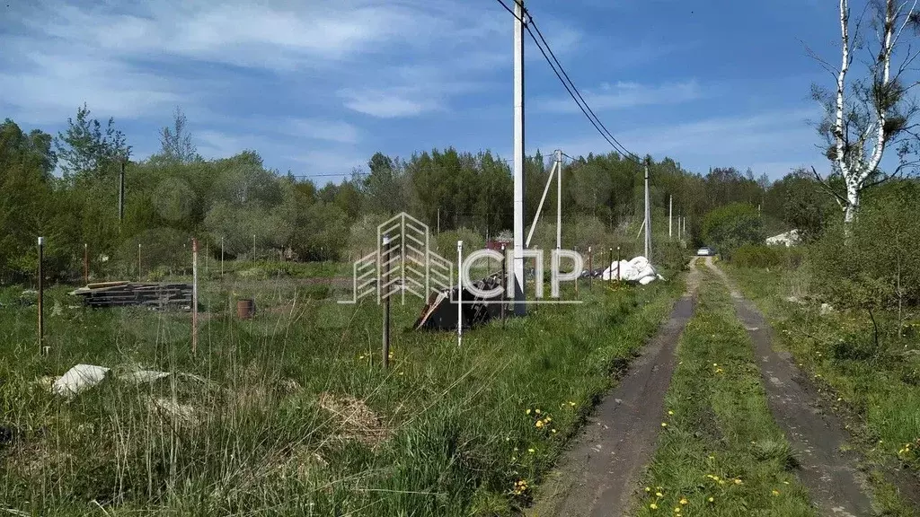 Участок 6,1 сот. (СНТ, ДНП) - Фото 1