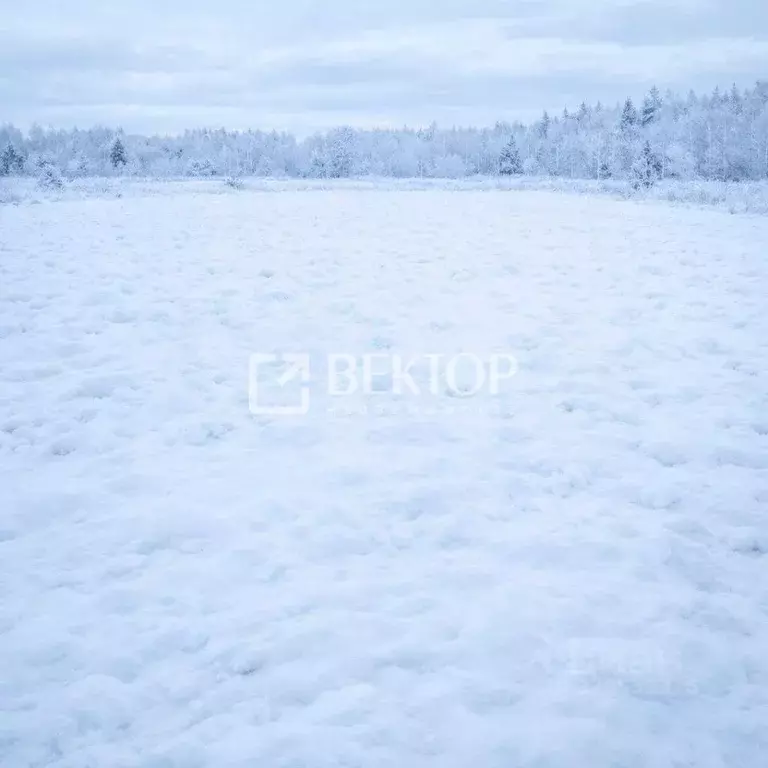 Участок в Костромская область, Судиславский район, Расловское с/пос, ... - Фото 1