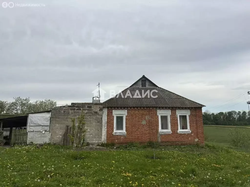 Дом в Белгородская область, Ракитянский муниципальный округ, хутор ... - Фото 2