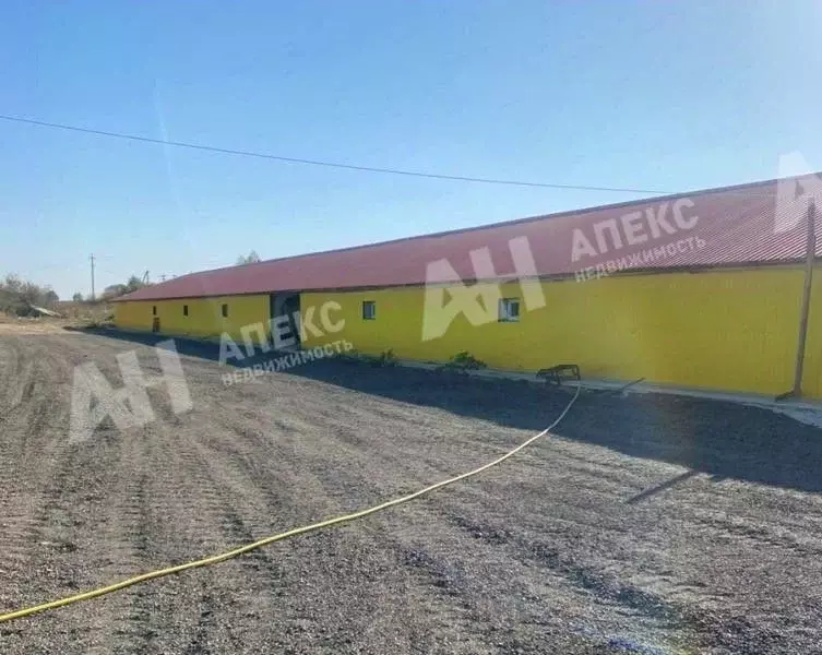 Склад в Московская область, Кашира городской округ, д. Барабаново ул. ... - Фото 2