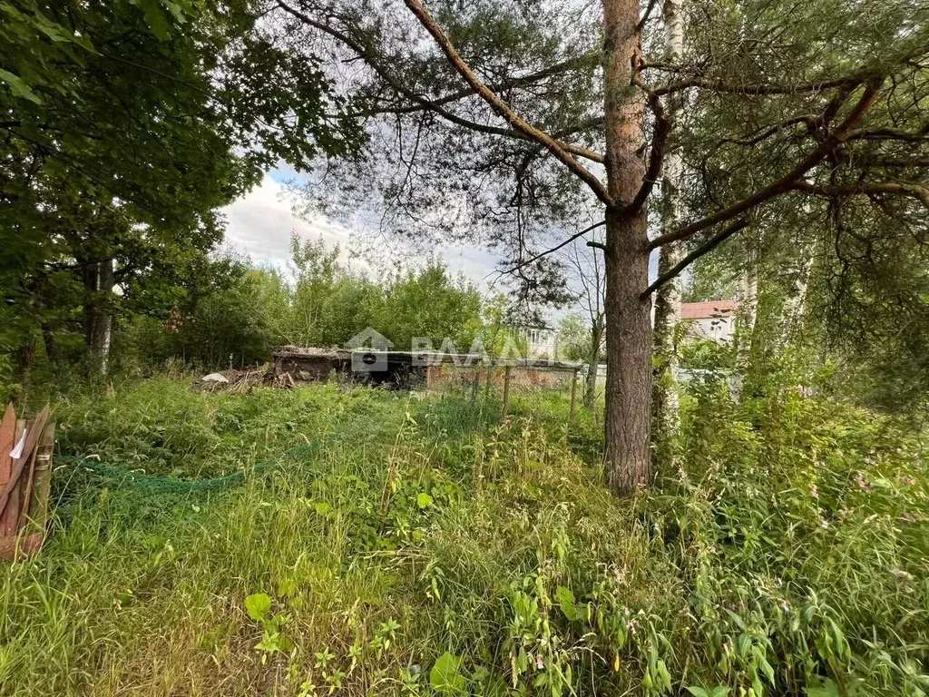 Участок в Ленинградская область, Отрадное Кировский район, 2-я линия, ... - Фото 0